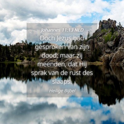 Picture 04 - Johannes 11:13 NLD - Doch Jezus had gesproken van zijn dood; maar zij - Bible Verse Picture