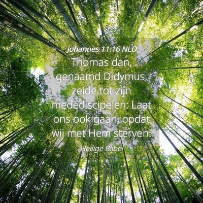 Picture 04 - Johannes 11:16 NLD - Thomas dan, genaamd Didymus, zeide tot zijn - Bible Verse Picture