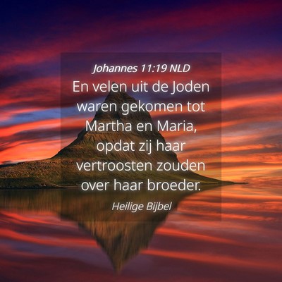 Picture 04 - Johannes 11:19 NLD - En velen uit de Joden waren gekomen tot Martha en - Bible Verse Picture