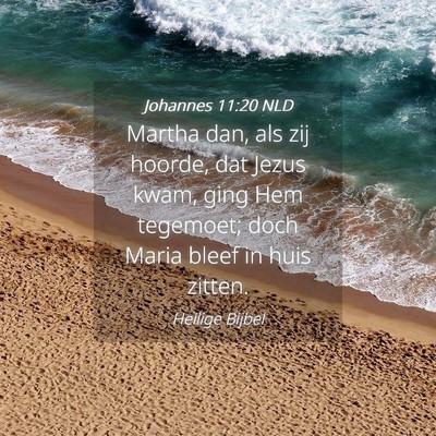 Picture 04 - Johannes 11:20 NLD - Martha dan, als zij hoorde, dat Jezus kwam, ging - Bible Verse Picture
