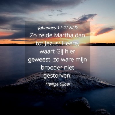 Picture 04 - Johannes 11:21 NLD - Zo zeide Martha dan tot Jezus: Heere, waart Gij - Bible Verse Picture