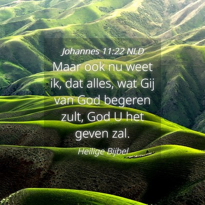 Picture 04 - Johannes 11:22 NLD - Maar ook nu weet ik, dat alles, wat Gij van God - Bible Verse Picture