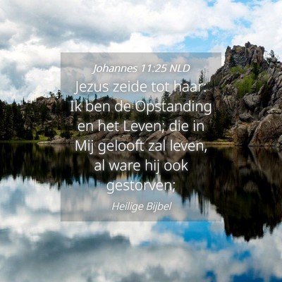 Picture 04 - Johannes 11:25 NLD - Jezus zeide tot haar: Ik ben de Opstanding en het - Bible Verse Picture