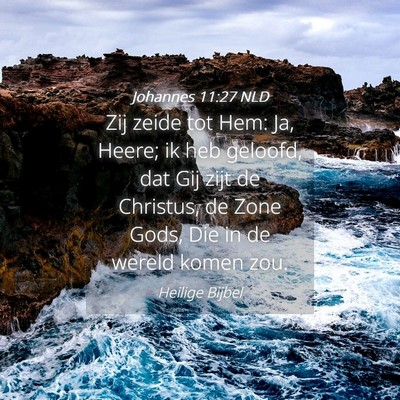 Picture 04 - Johannes 11:27 NLD - Zij zeide tot Hem: Ja, Heere; ik heb geloofd, dat - Bible Verse Picture