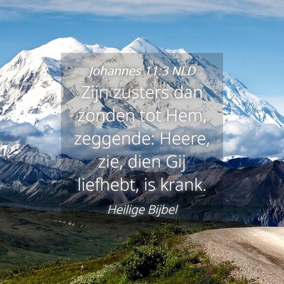 Picture 04 - Johannes 11:3 NLD - Zijn zusters dan zonden tot Hem, zeggende: Heere, - Bible Verse Picture