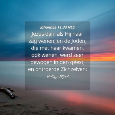 Picture 04 - Johannes 11:33 NLD - Jezus dan, als Hij haar zag wenen, en de Joden, - Bible Verse Picture