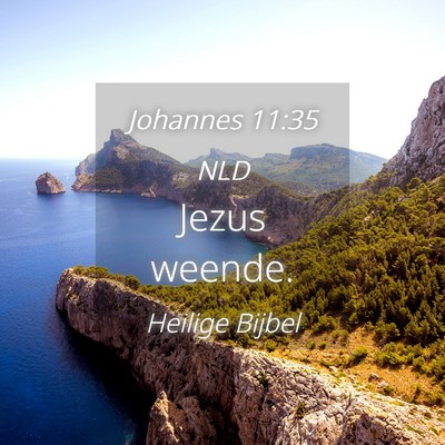 Picture 04 - Johannes 11:35 NLD - Jezus - Bible Verse Picture