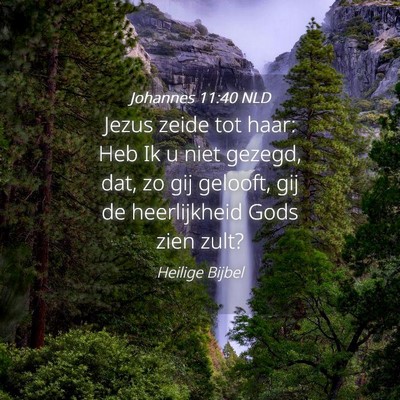 Picture 04 - Johannes 11:40 NLD - Jezus zeide tot haar: Heb Ik u niet gezegd, dat, - Bible Verse Picture