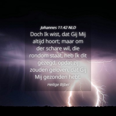 Picture 04 - Johannes 11:42 NLD - Doch Ik wist, dat Gij Mij altijd hoort; maar om - Bible Verse Picture