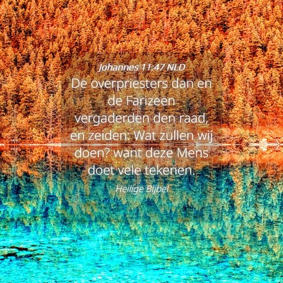 Picture 04 - Johannes 11:47 NLD - De overpriesters dan en de Farizeen vergaderden - Bible Verse Picture