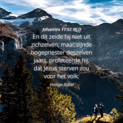 Picture 04 - Johannes 11:51 NLD - En dit zeide hij niet uit zichzelven; maar, - Bible Verse Picture