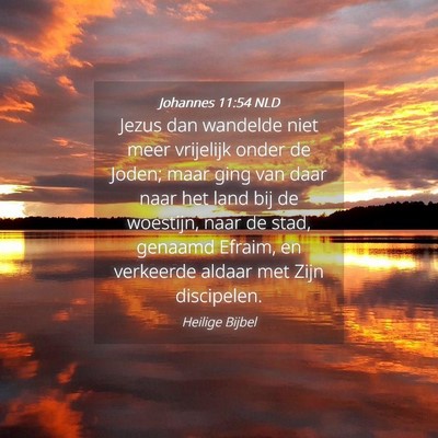 Picture 04 - Johannes 11:54 NLD - Jezus dan wandelde niet meer vrijelijk onder de - Bible Verse Picture