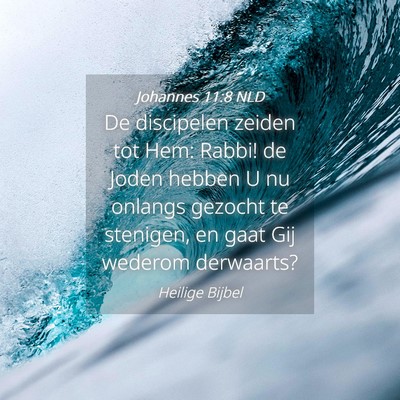 Picture 04 - Johannes 11:8 NLD - De discipelen zeiden tot Hem: Rabbi! de Joden - Bible Verse Picture