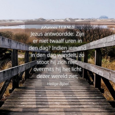 Picture 04 - Johannes 11:9 NLD - Jezus antwoordde: Zijn er niet twaalf uren in den - Bible Verse Picture