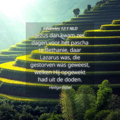 Picture 04 - Johannes 12:1 NLD - Jezus dan kwam zes dagen voor het pascha te - Bible Verse Picture