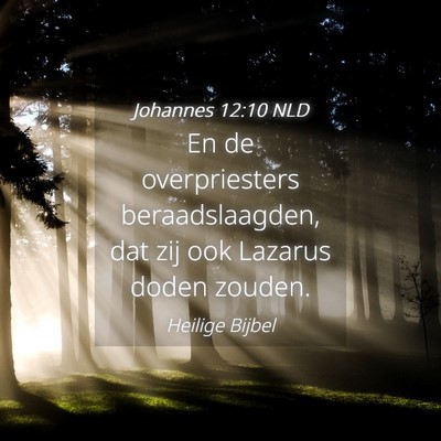 Picture 04 - Johannes 12:10 NLD - En de overpriesters beraadslaagden, dat zij ook - Bible Verse Picture