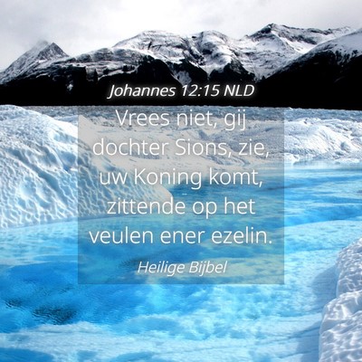 Picture 04 - Johannes 12:15 NLD - Vrees niet, gij dochter Sions, zie, uw Koning - Bible Verse Picture