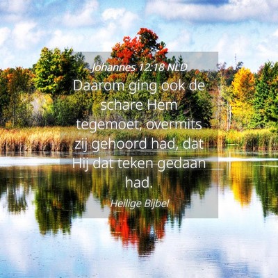 Picture 04 - Johannes 12:18 NLD - Daarom ging ook de schare Hem tegemoet, overmits - Bible Verse Picture
