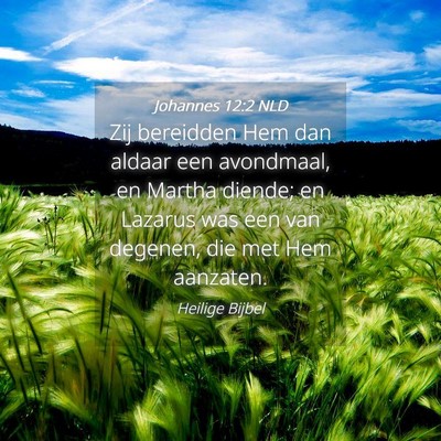 Picture 04 - Johannes 12:2 NLD - Zij bereidden Hem dan aldaar een avondmaal, en - Bible Verse Picture