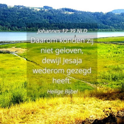 Picture 04 - Johannes 12:39 NLD - Daarom konden zij niet geloven, dewijl Jesaja - Bible Verse Picture