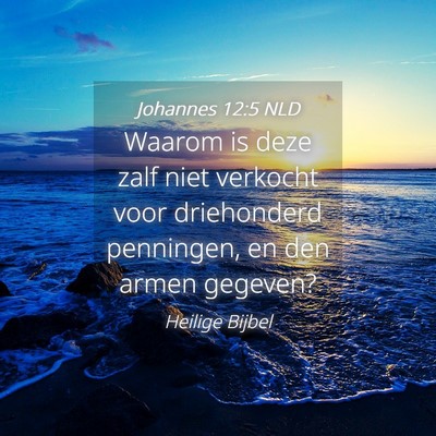 Picture 04 - Johannes 12:5 NLD - Waarom is deze zalf niet verkocht voor - Bible Verse Picture