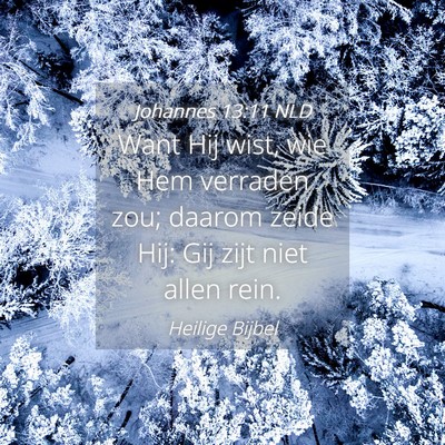 Picture 04 - Johannes 13:11 NLD - Want Hij wist, wie Hem verraden zou; daarom zeide - Bible Verse Picture