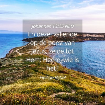 Picture 04 - Johannes 13:25 NLD - En deze, vallende op de borst van Jezus, zeide - Bible Verse Picture