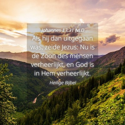 Picture 04 - Johannes 13:31 NLD - Als hij dan uitgegaan was, zeide Jezus: Nu is de - Bible Verse Picture