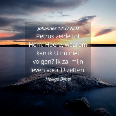 Picture 04 - Johannes 13:37 NLD - Petrus zeide tot Hem: Heere, waarom kan ik U nu - Bible Verse Picture