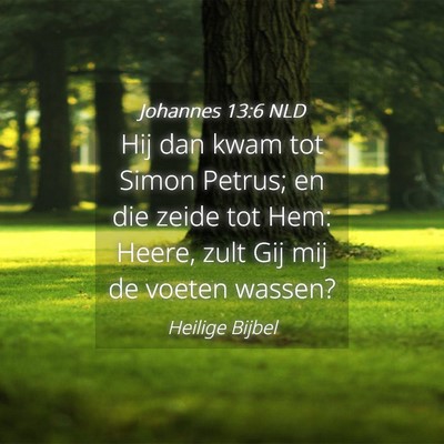 Picture 04 - Johannes 13:6 NLD - Hij dan kwam tot Simon Petrus; en die zeide tot - Bible Verse Picture
