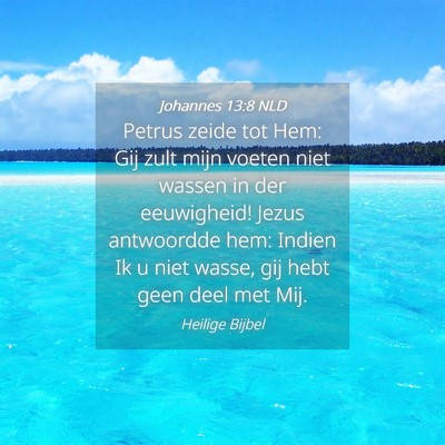 Picture 04 - Johannes 13:8 NLD - Petrus zeide tot Hem: Gij zult mijn voeten niet - Bible Verse Picture