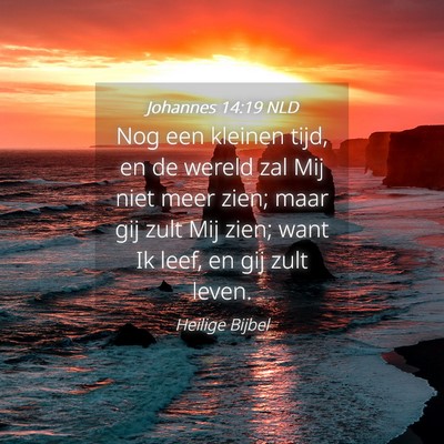 Picture 04 - Johannes 14:19 NLD - Nog een kleinen tijd, en de wereld zal Mij niet - Bible Verse Picture