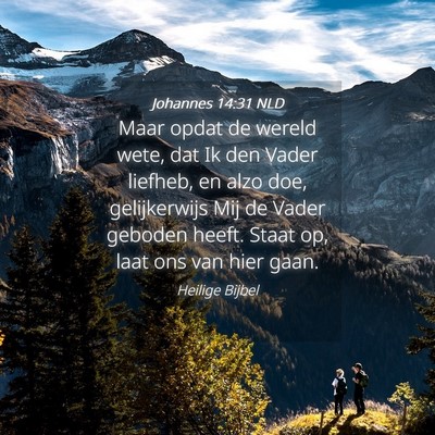 Picture 04 - Johannes 14:31 NLD - Maar opdat de wereld wete, dat Ik den Vader - Bible Verse Picture