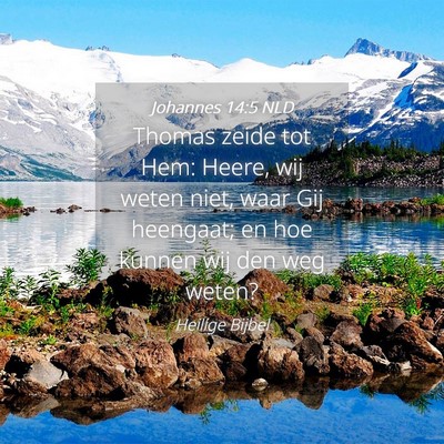 Picture 04 - Johannes 14:5 NLD - Thomas zeide tot Hem: Heere, wij weten niet, waar - Bible Verse Picture