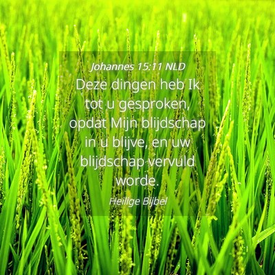 Picture 04 - Johannes 15:11 NLD - Deze dingen heb Ik tot u gesproken, opdat Mijn - Bible Verse Picture