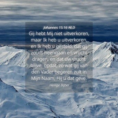 Picture 04 - Johannes 15:16 NLD - Gij hebt Mij niet uitverkoren, maar Ik heb u - Bible Verse Picture