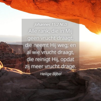 Picture 04 - Johannes 15:2 NLD - Alle rank, die in Mij geen vrucht draagt, die - Bible Verse Picture