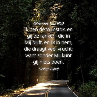 Picture 04 - Johannes 15:5 NLD - Ik ben de Wijnstok, en gij de ranken; die in Mij - Bible Verse Picture