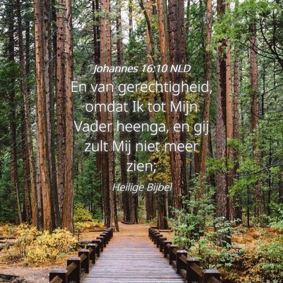 Picture 04 - Johannes 16:10 NLD - En van gerechtigheid, omdat Ik tot Mijn Vader - Bible Verse Picture