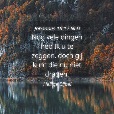 Picture 04 - Johannes 16:12 NLD - Nog vele dingen heb Ik u te zeggen, doch gij kunt - Bible Verse Picture