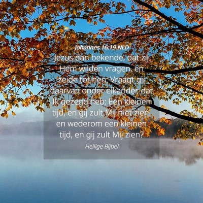 Picture 04 - Johannes 16:19 NLD - Jezus dan bekende, dat zij Hem wilden vragen, en - Bible Verse Picture