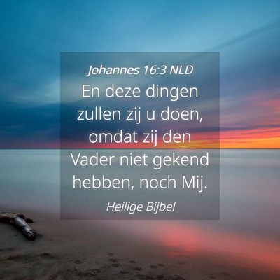 Picture 04 - Johannes 16:3 NLD - En deze dingen zullen zij u doen, omdat zij den - Bible Verse Picture
