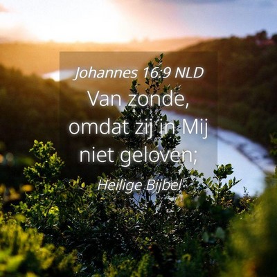 Picture 04 - Johannes 16:9 NLD - Van zonde, omdat zij in Mij niet - Bible Verse Picture