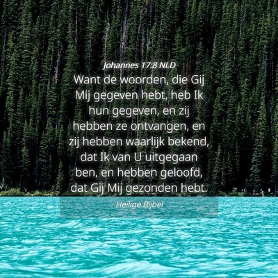 Picture 04 - Johannes 17:8 NLD - Want de woorden, die Gij Mij gegeven hebt, heb Ik - Bible Verse Picture