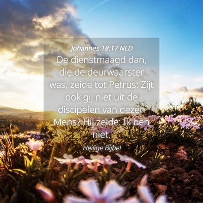 Picture 04 - Johannes 18:17 NLD - De dienstmaagd dan, die de deurwaarster was, - Bible Verse Picture