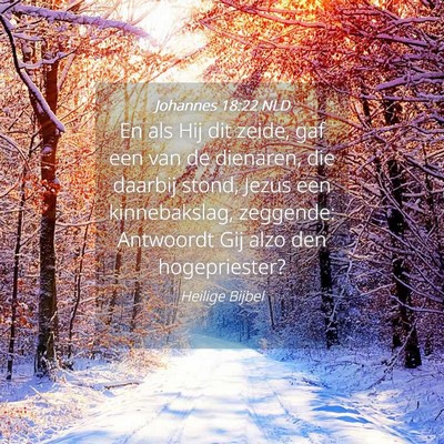 Picture 04 - Johannes 18:22 NLD - En als Hij dit zeide, gaf een van de dienaren, - Bible Verse Picture