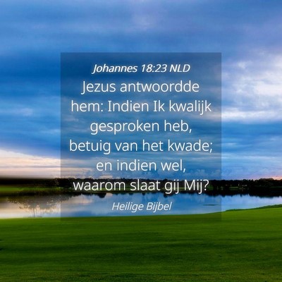 Picture 04 - Johannes 18:23 NLD - Jezus antwoordde hem: Indien Ik kwalijk gesproken - Bible Verse Picture