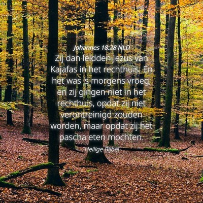 Picture 04 - Johannes 18:28 NLD - Zij dan leidden Jezus van Kajafas in het - Bible Verse Picture