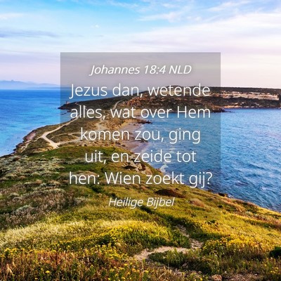 Picture 04 - Johannes 18:4 NLD - Jezus dan, wetende alles, wat over Hem komen zou, - Bible Verse Picture