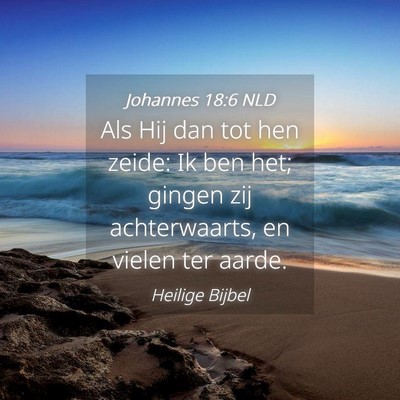 Picture 04 - Johannes 18:6 NLD - Als Hij dan tot hen zeide: Ik ben het; gingen zij - Bible Verse Picture